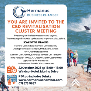 CBD Revitalisation Cluster Meeting 22 Oct 2026